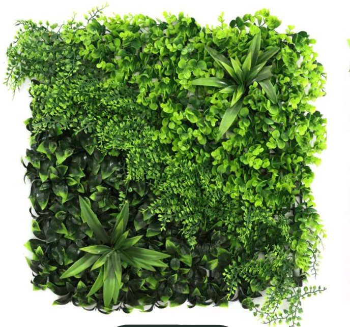 Flora AG-2018-834