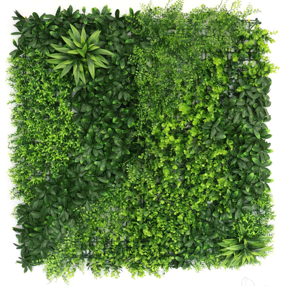 Flora AG-3005-4377