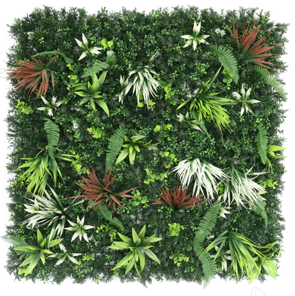 Flora AG-3006-4641