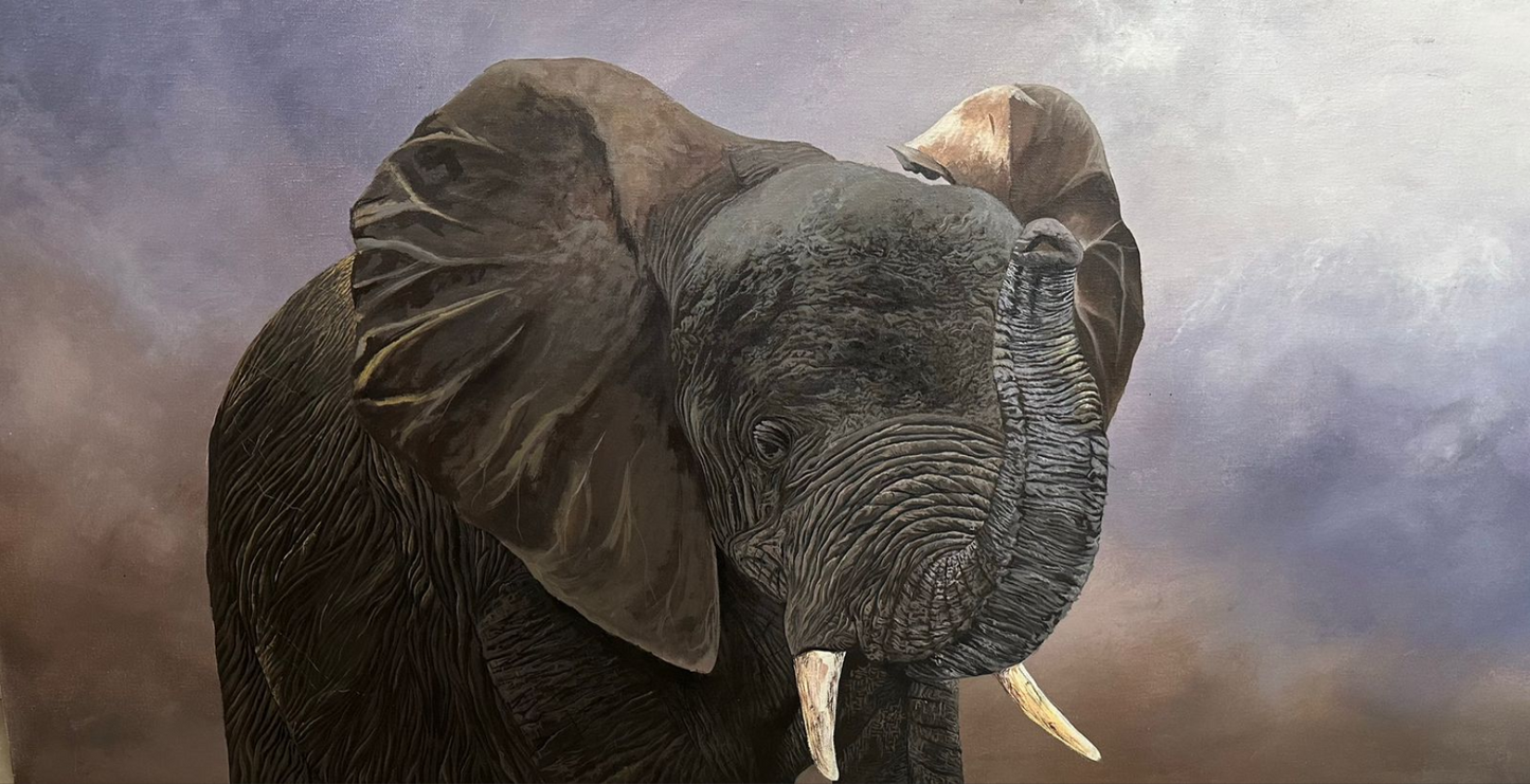 MPV - Elephant