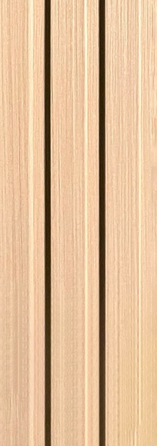 WPC Model - 3