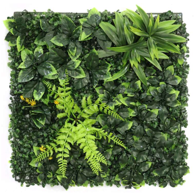 Flora AG-2020-786