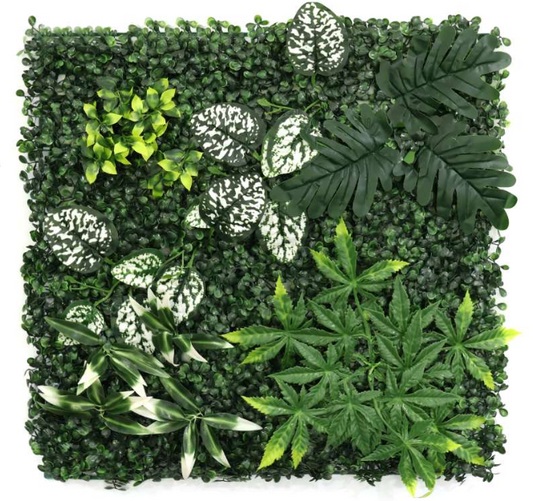 Flora AG-2030-708