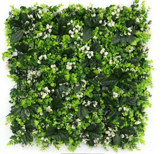 Flora AG-2039-901