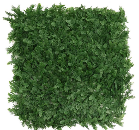Flora AG-2043-797