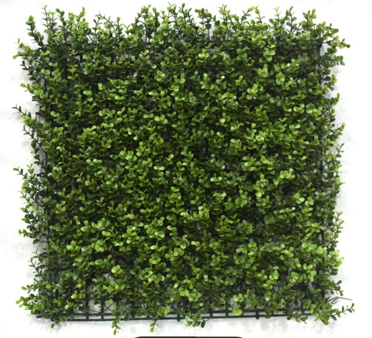 Flora AG-8014 G-743