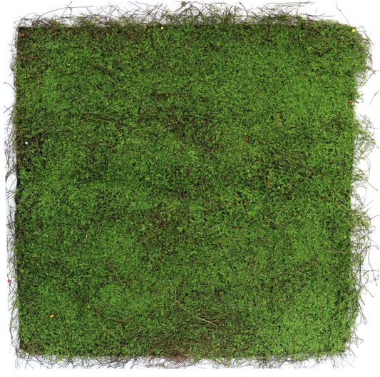 Flora AG-5001-3576