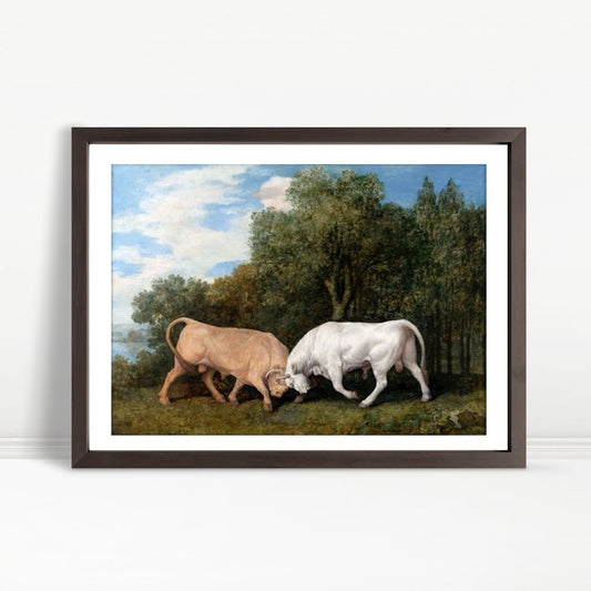 YF Bull Duel In Verdant Meadow