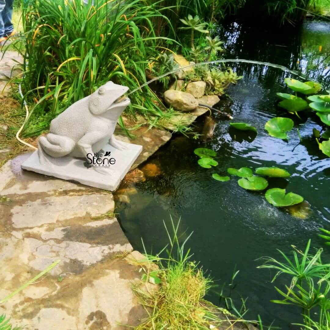 Frog Spitter Fountain 20″