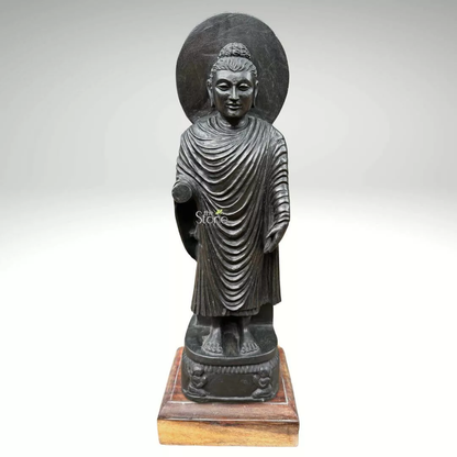 Standing Buddha From Gandhara 21″